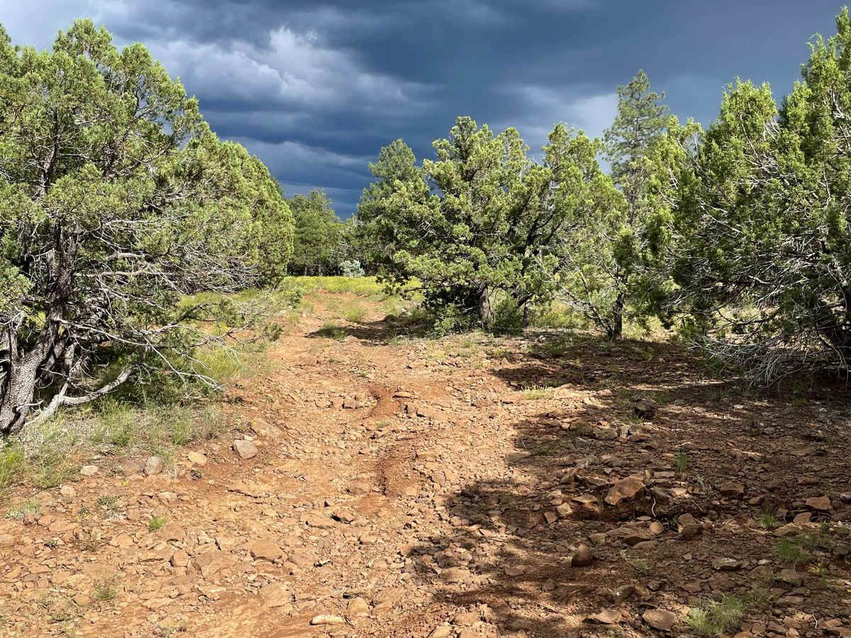 FS 153E trail photo