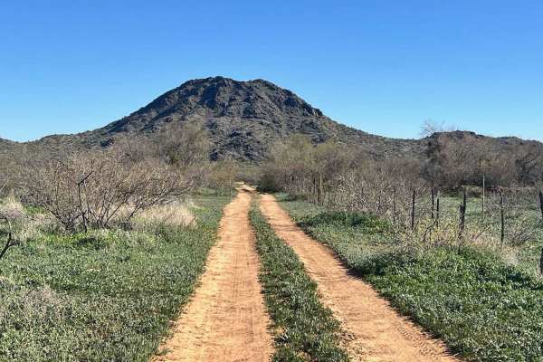 Ritter Tank Trail