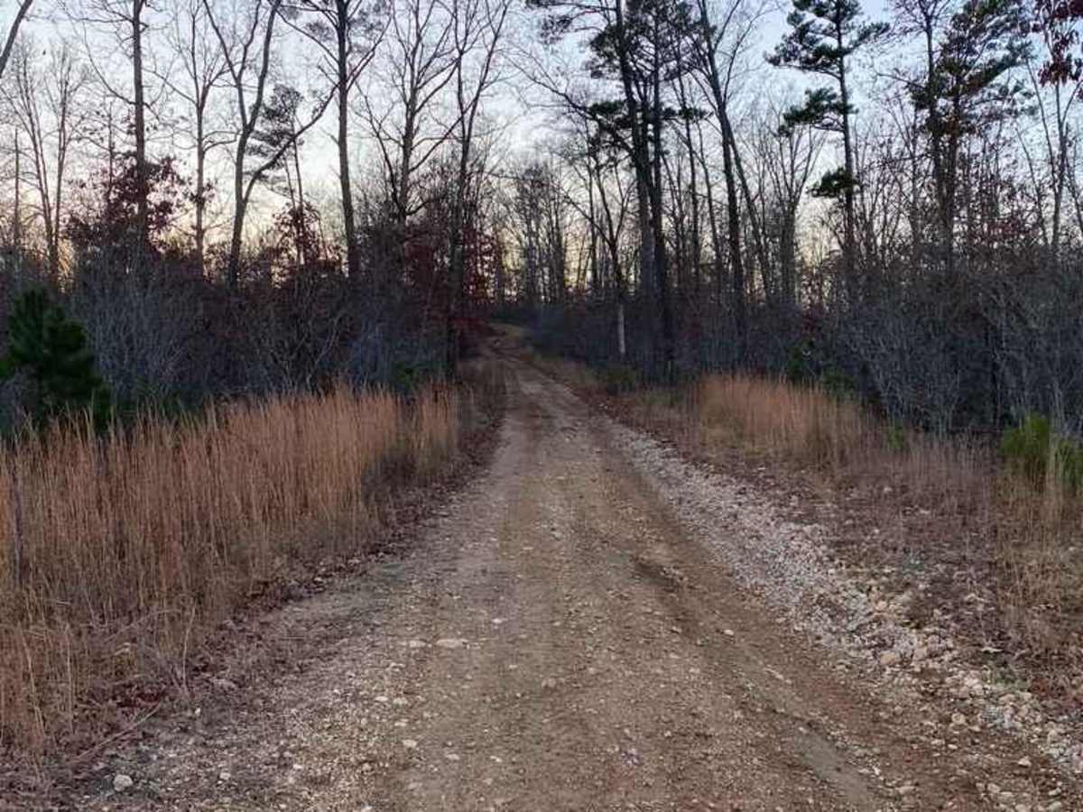 Pine Union Hill FSR 2137 photo 6