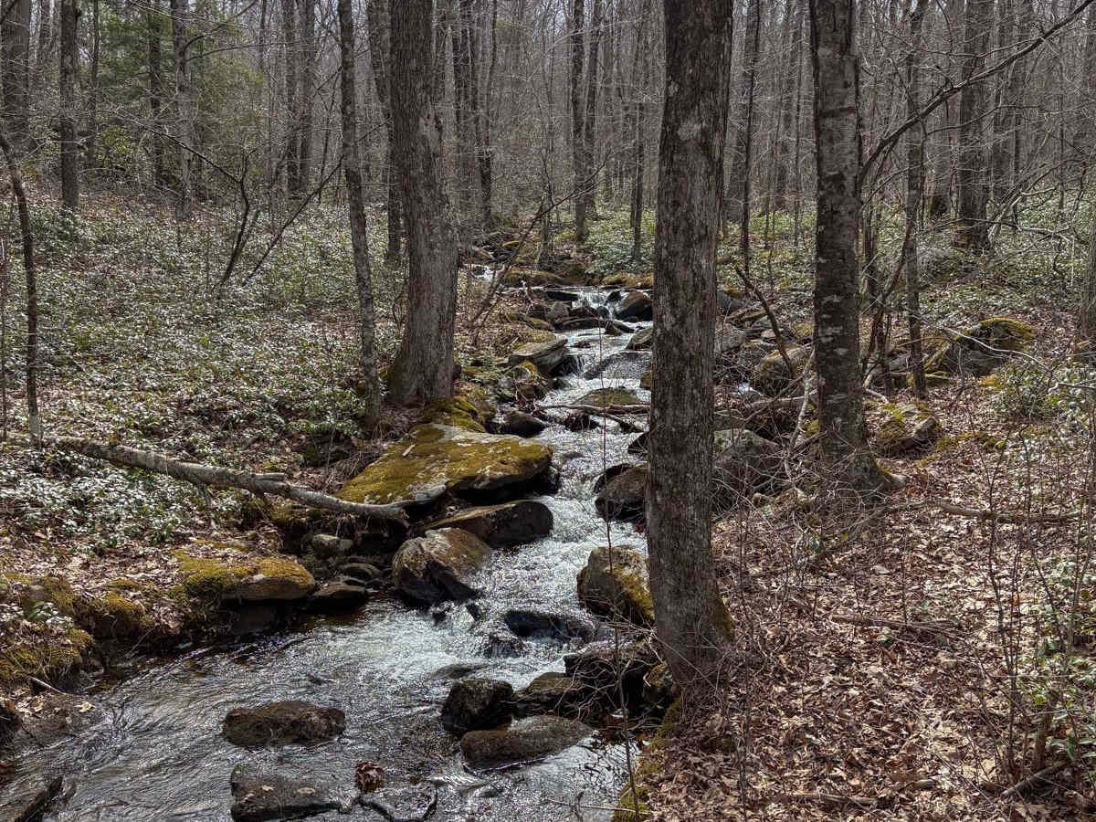 Del Reeves & North Mulford Roads photo 3