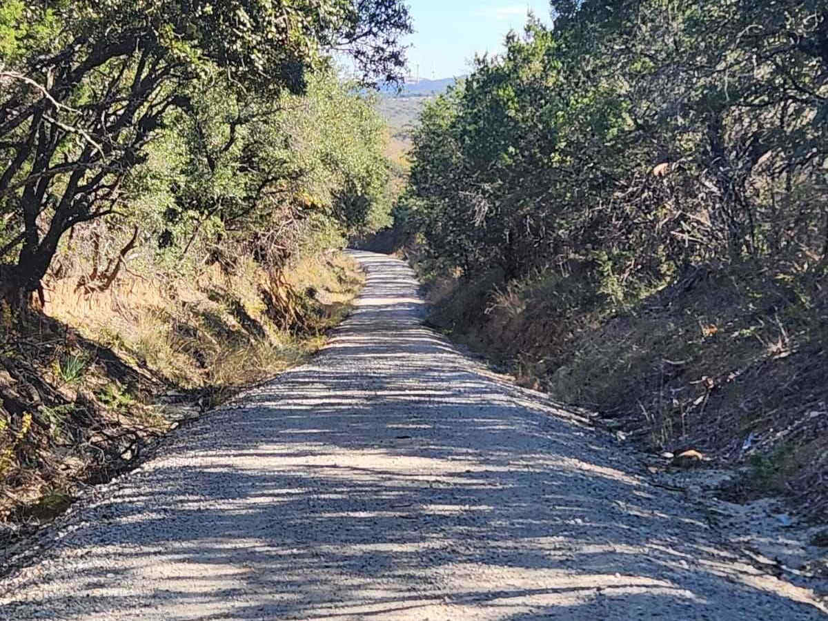 Tudor Loop / 107 trail photo