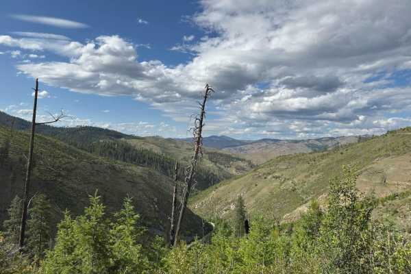 Warm Springs Laird