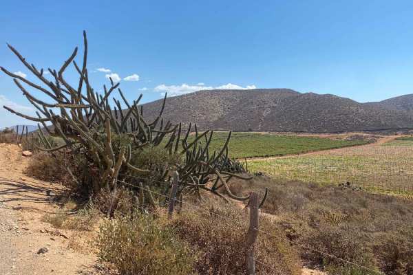 Rancho Juan Road