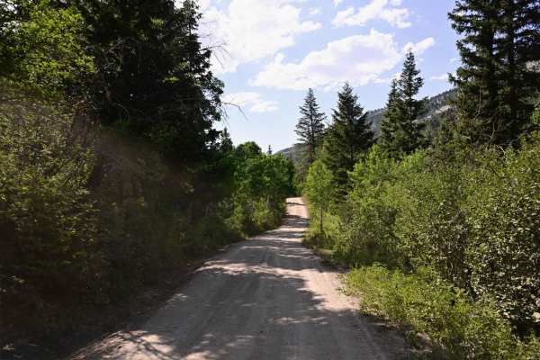 North Fork Manti Canyon - FR50046