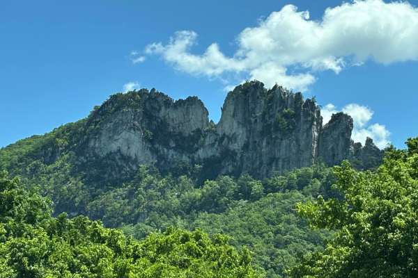 Owl Knob Hollow