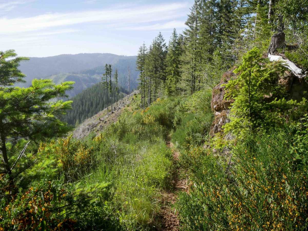 #41A trail photo