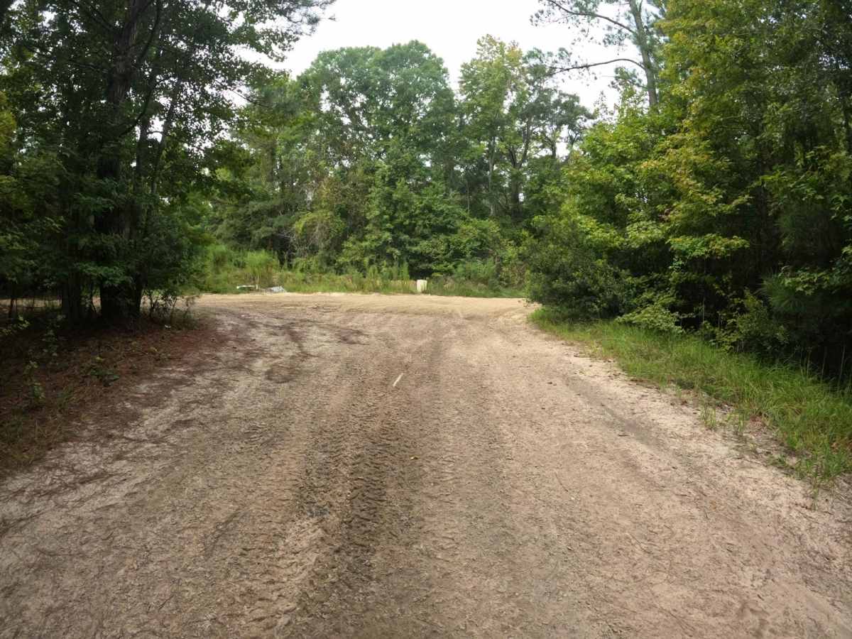 Beaten Path photo 3