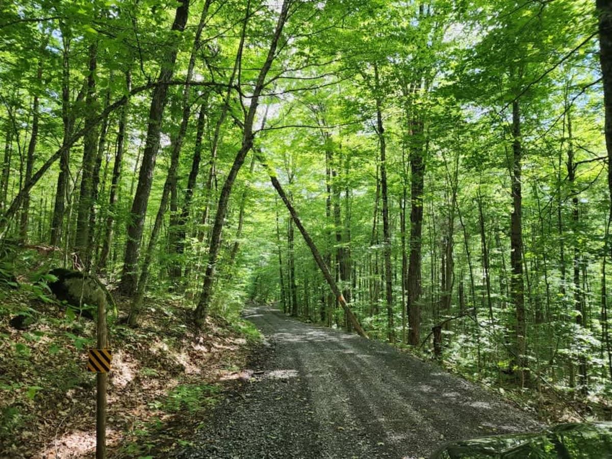 Stony Lake Road trail photo
