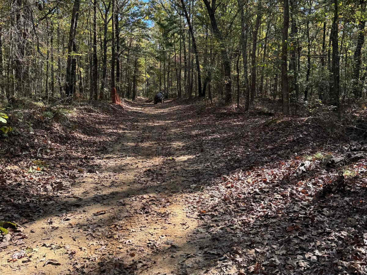 #80 Road to Primitive Camping photo 5