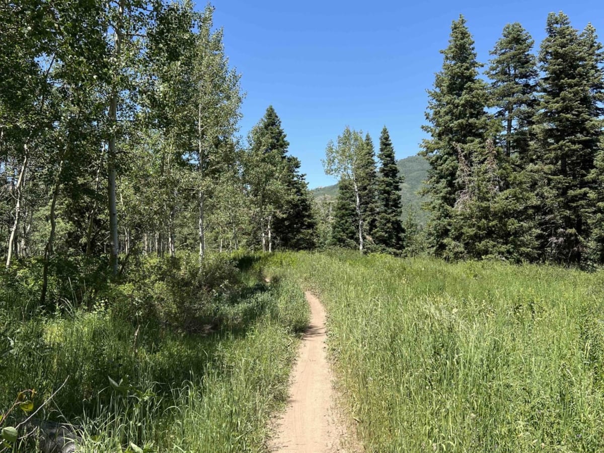 Tibble Fork (2041) photo 3