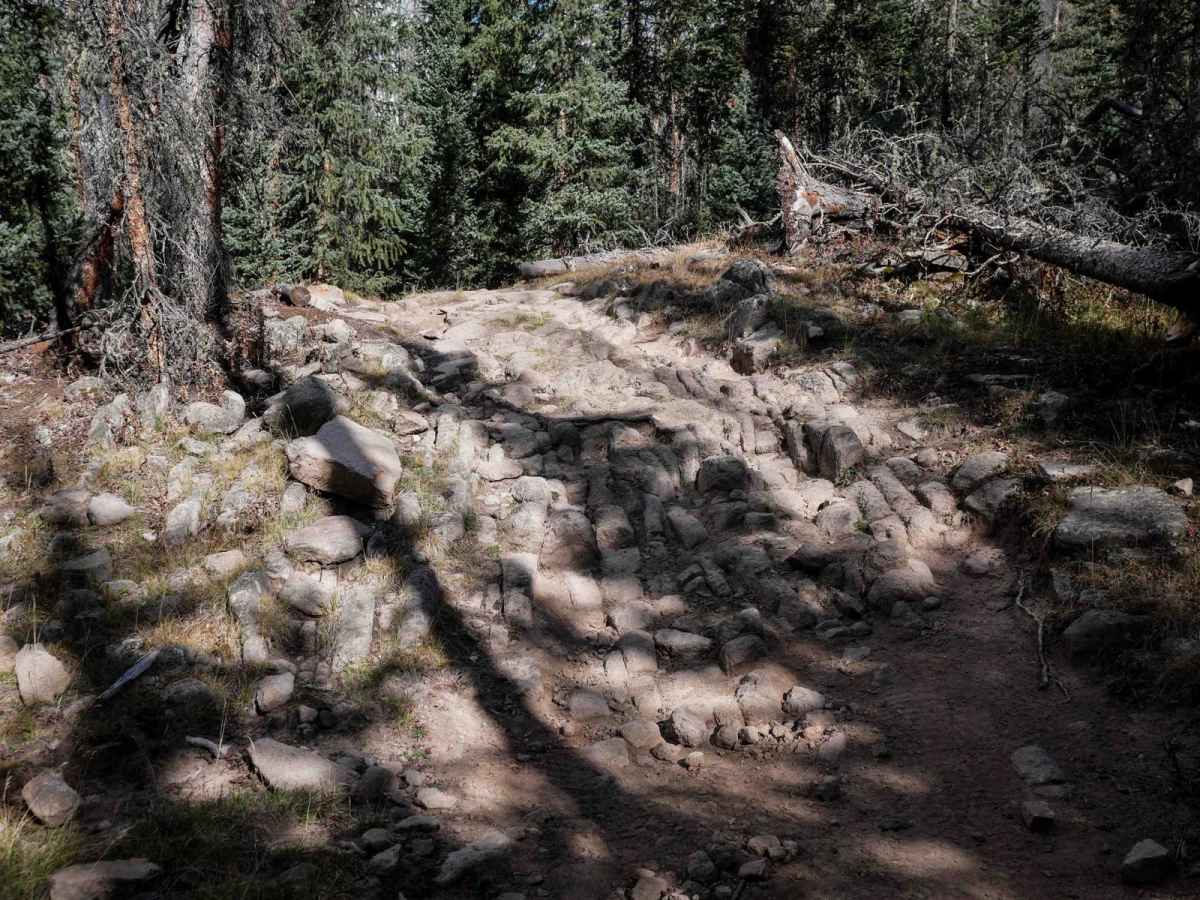 Middle Alder ATV - 797 photo 4