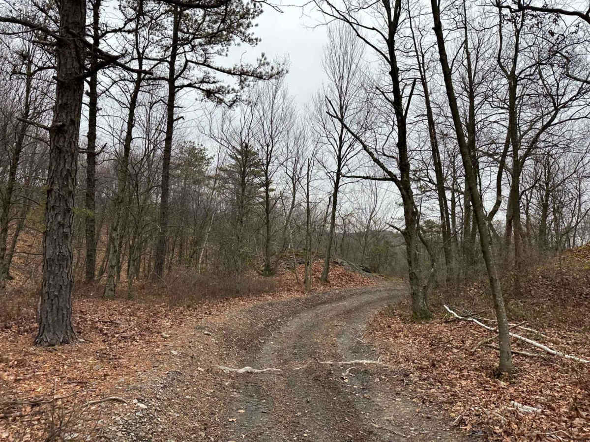 Darkwater 50 photo 5