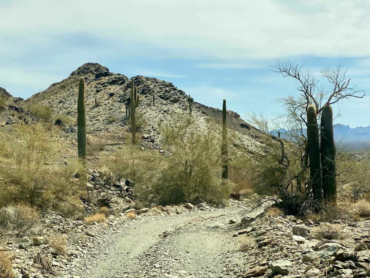 Pipeline Road - EC1294 photo 5