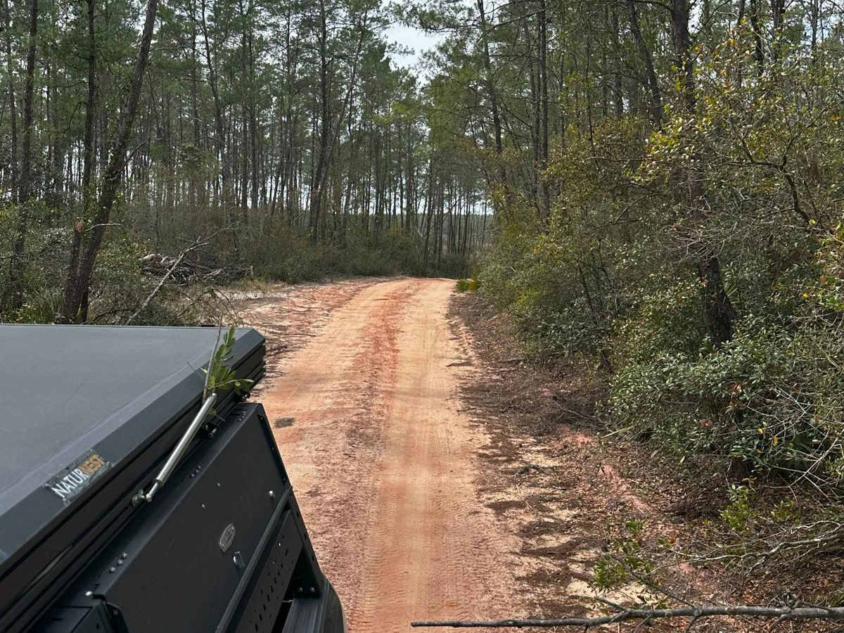ONF Trail 17-2.6 photo 3