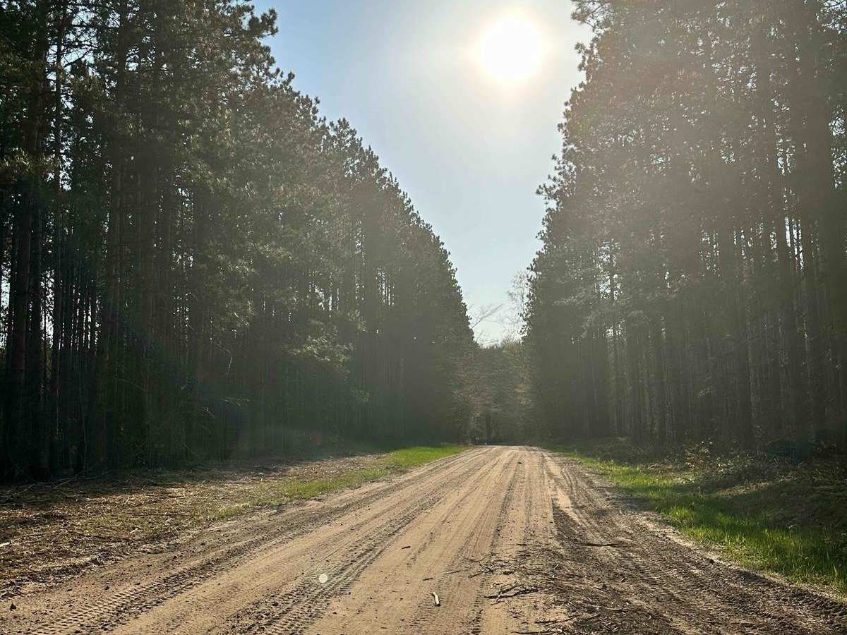 Cadillac Area ORV/OHV Scenic Ride - Part 5 photo 3