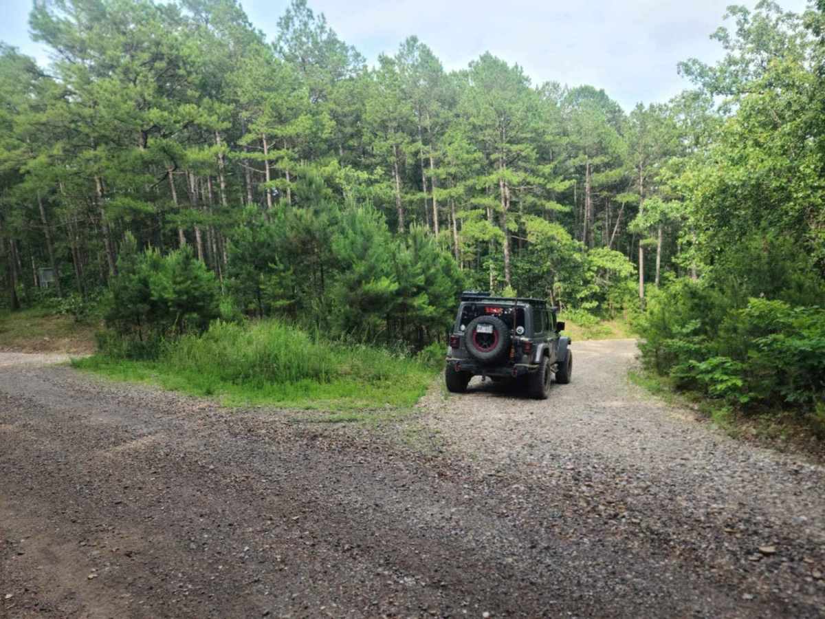 Little Brushy Road - 48 trail photo