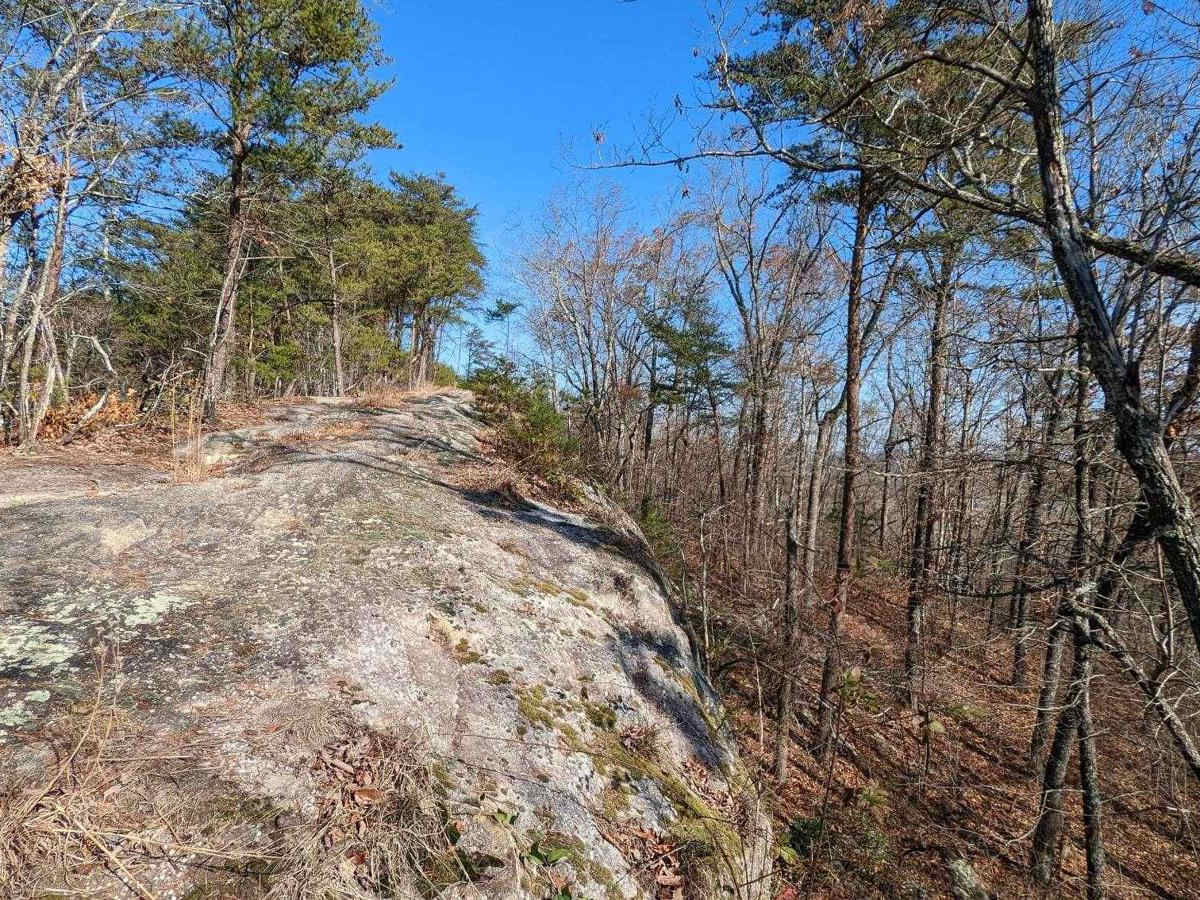 Trail 75 Walden's Ridge photo 6