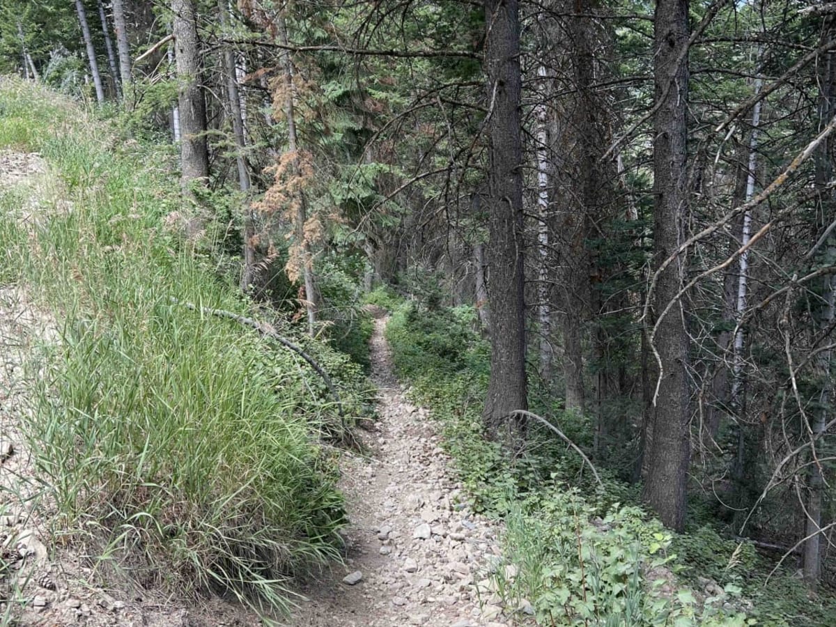 Bear Canyon Spur (2178) photo 4