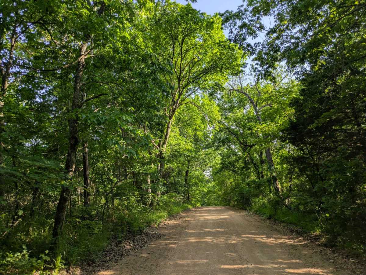 South 4430 trail photo