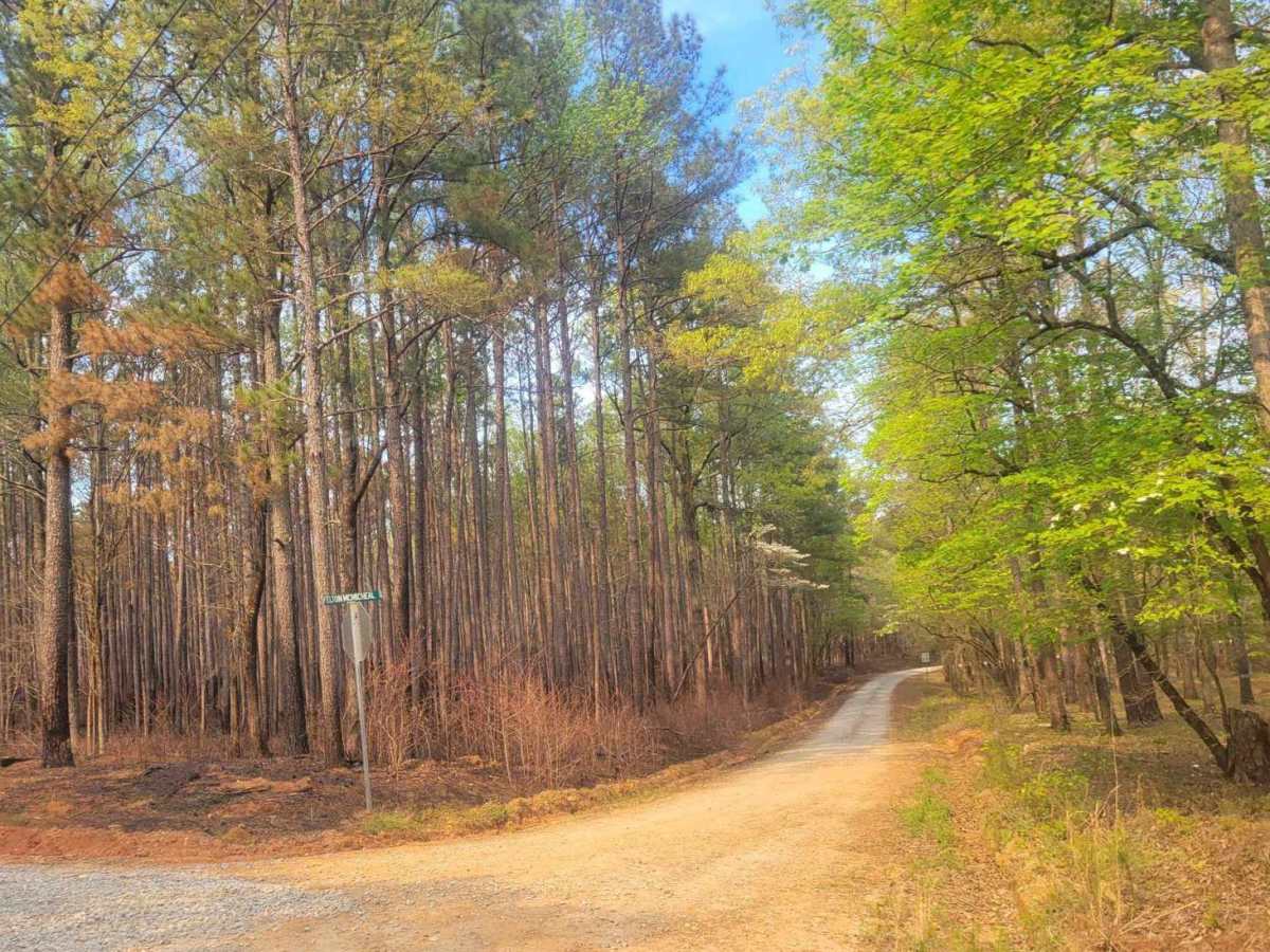 Felton McMichael Road photo 5