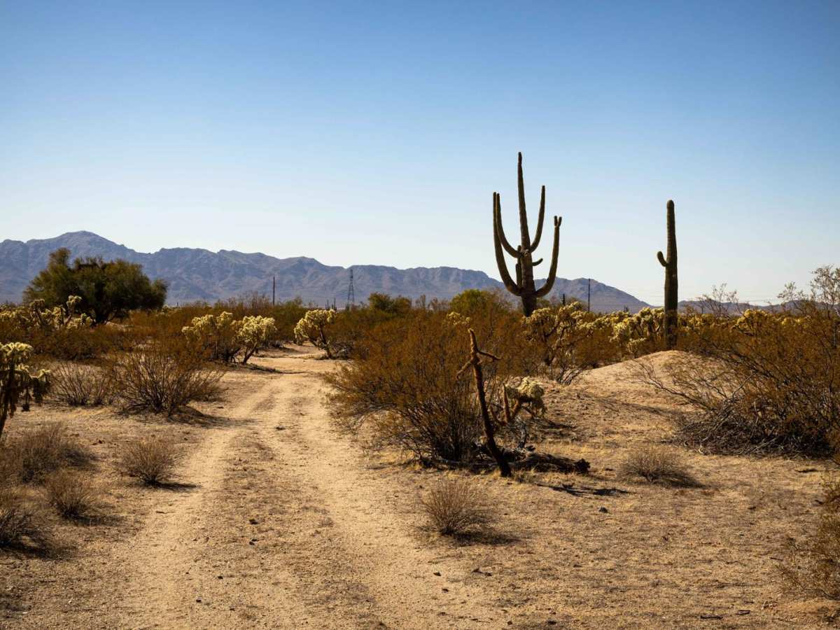 Seclusion Corner photo 6