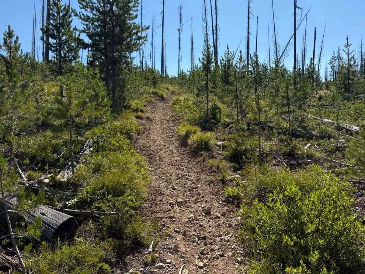 Green Mountain photo 3