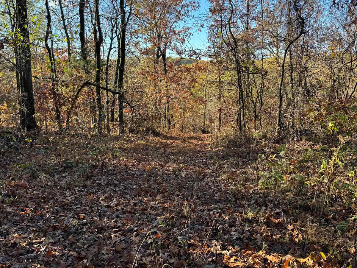 Green 109 photo 2