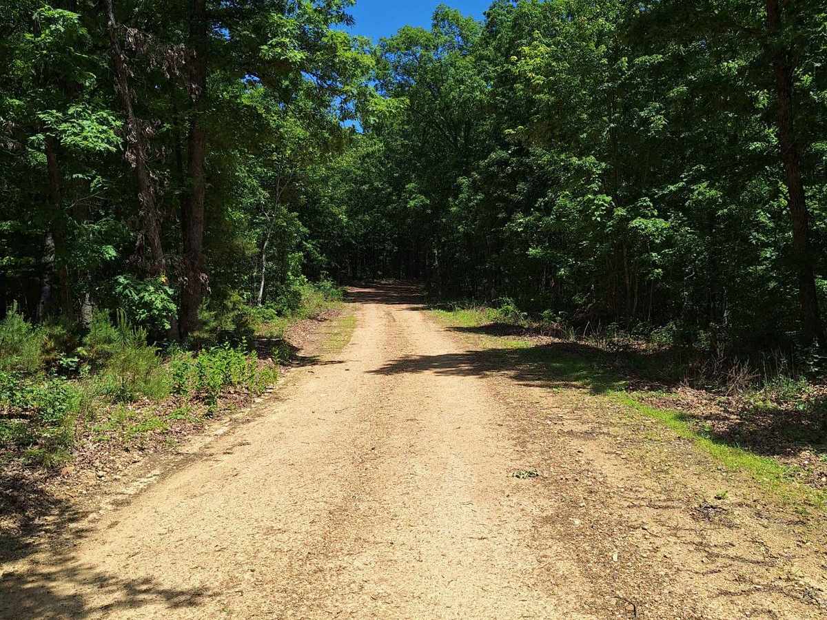 Miller Chapel FSR 2501 trail photo