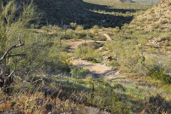 Helix Hill Climb
