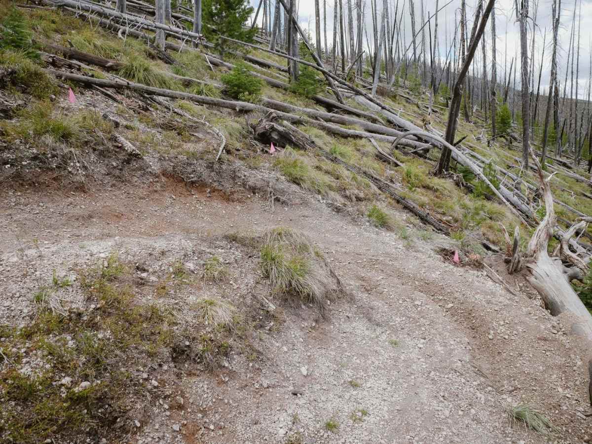 Continental Divide NST photo 4