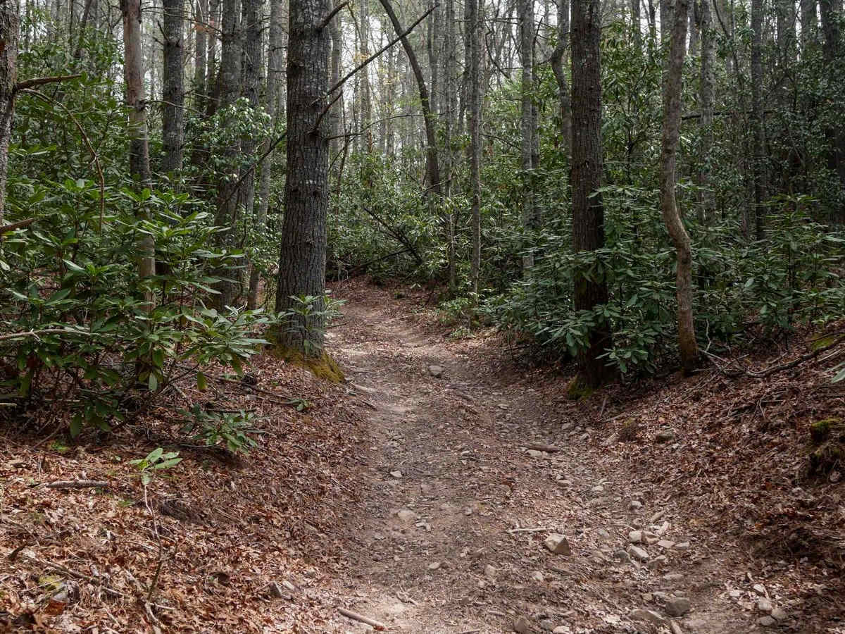 326 trail photo