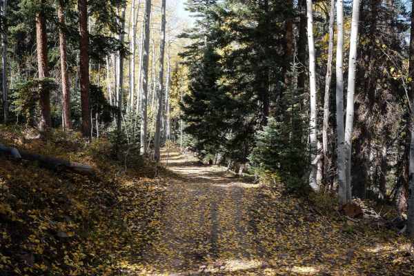 Dry Creek ATV Spur