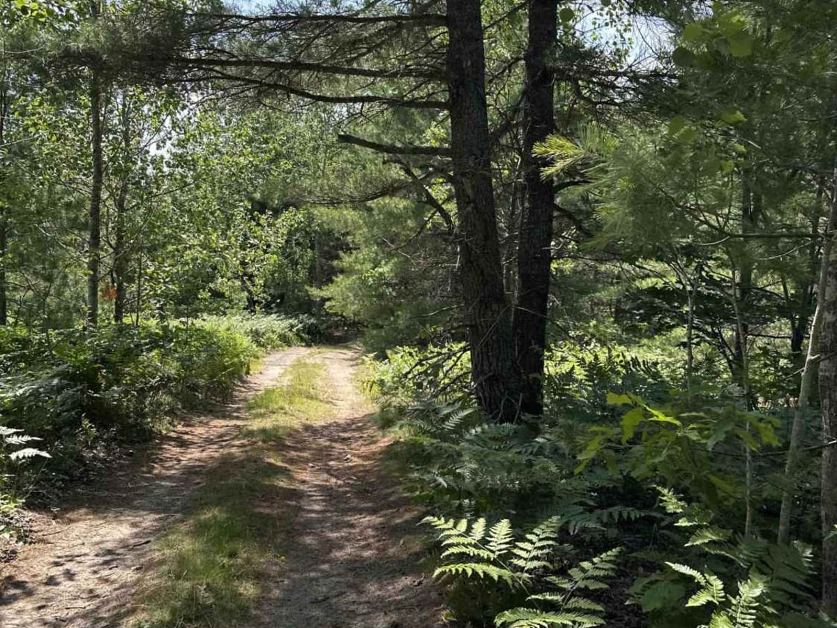 Fox River Trail photo 5