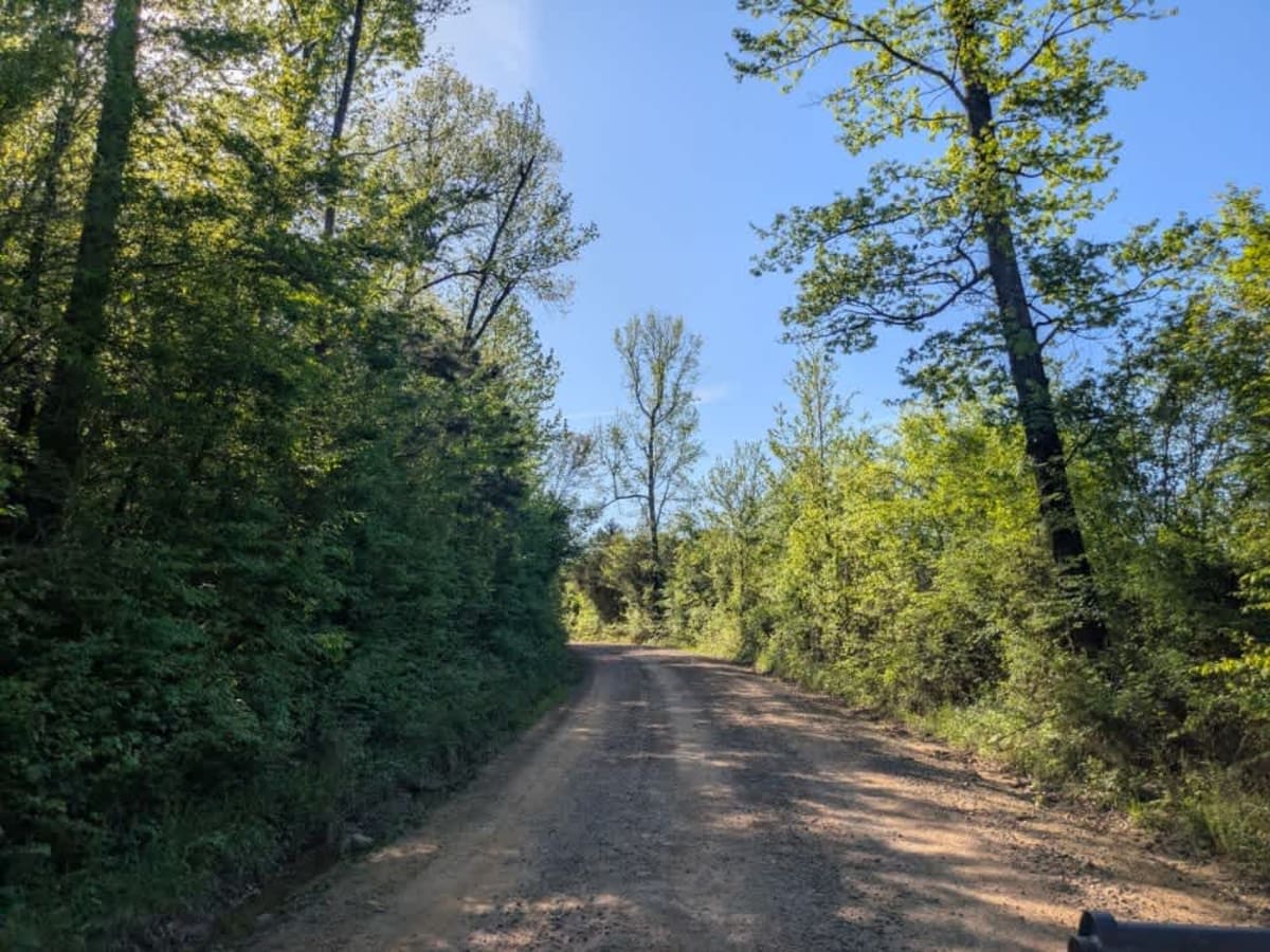 Eagle Gap Road photo 4