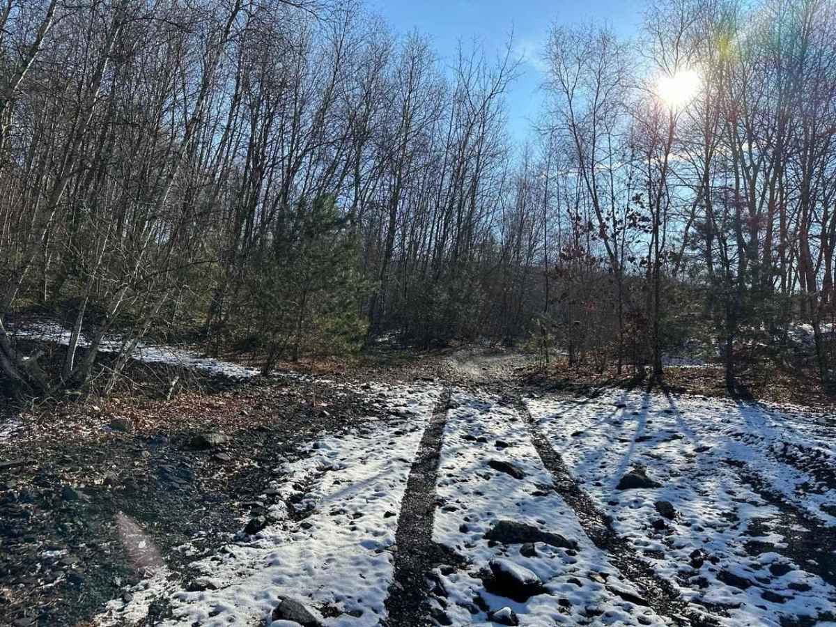 Locust Gap 82 photo 5