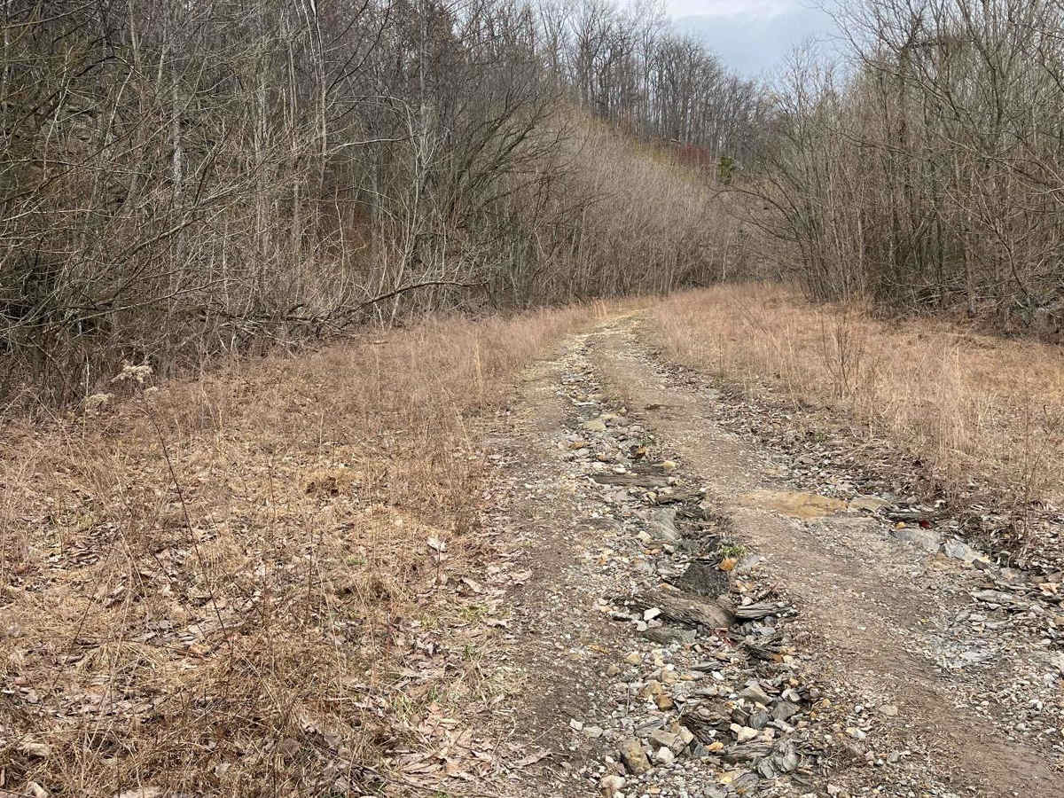 Trail 20 Wash Branch photo 5