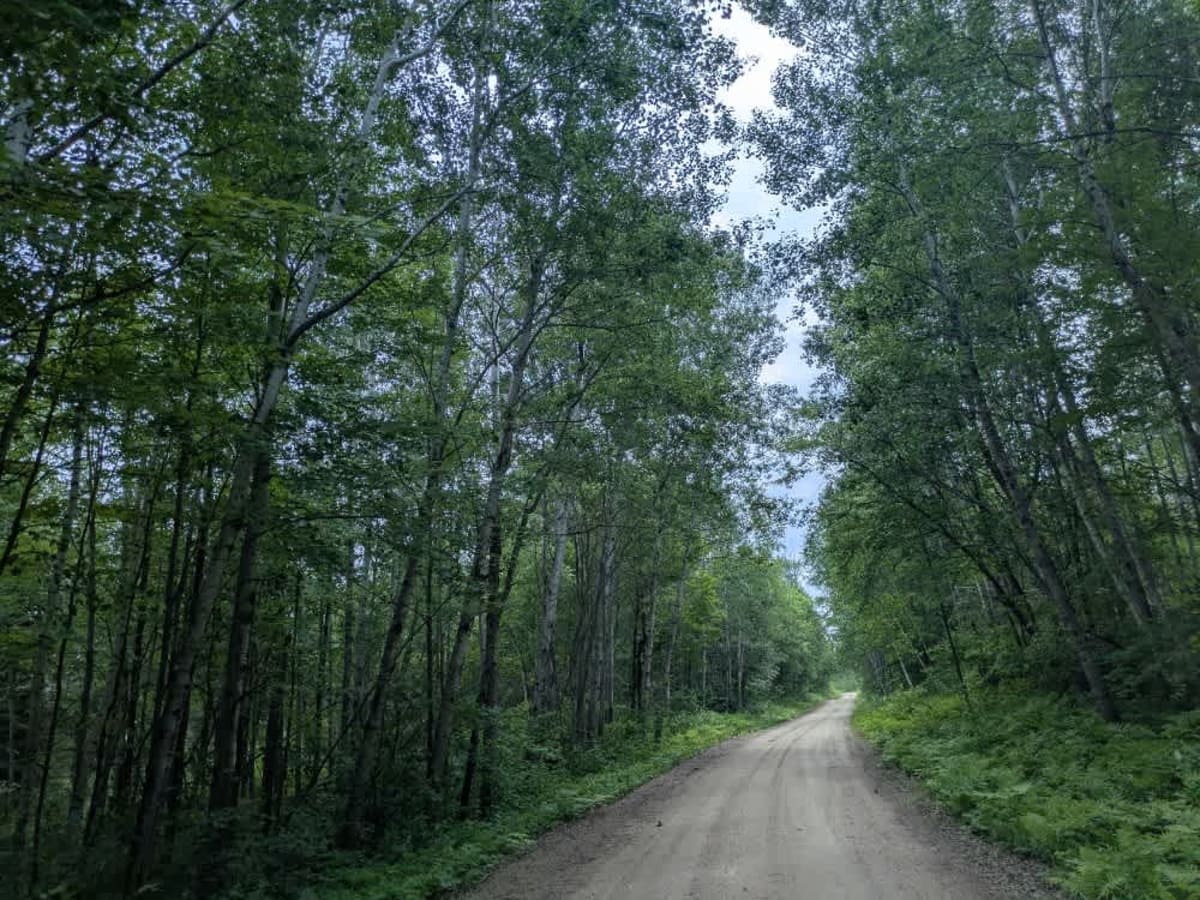 Pennington Truck Trail photo 5