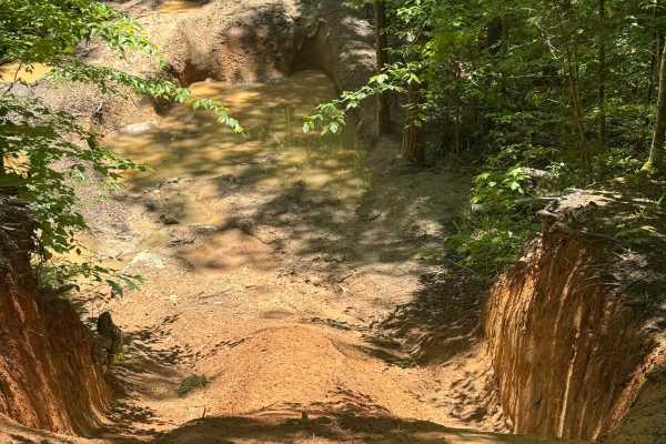 That Dam Trail