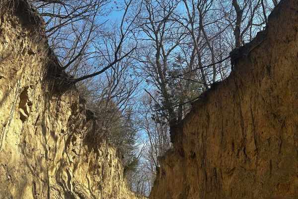 Mud Slinging Trail - Raleigh Road