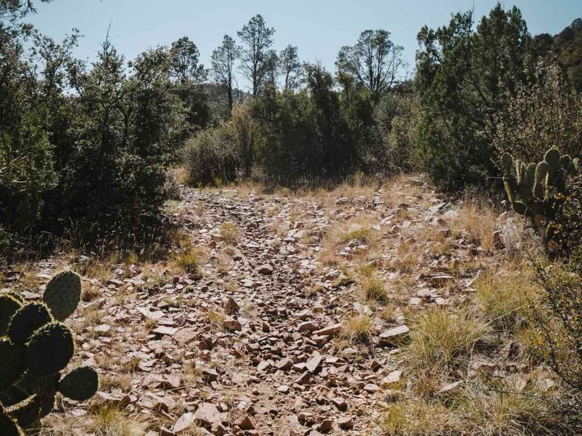 Red Mountain Trail photo 3