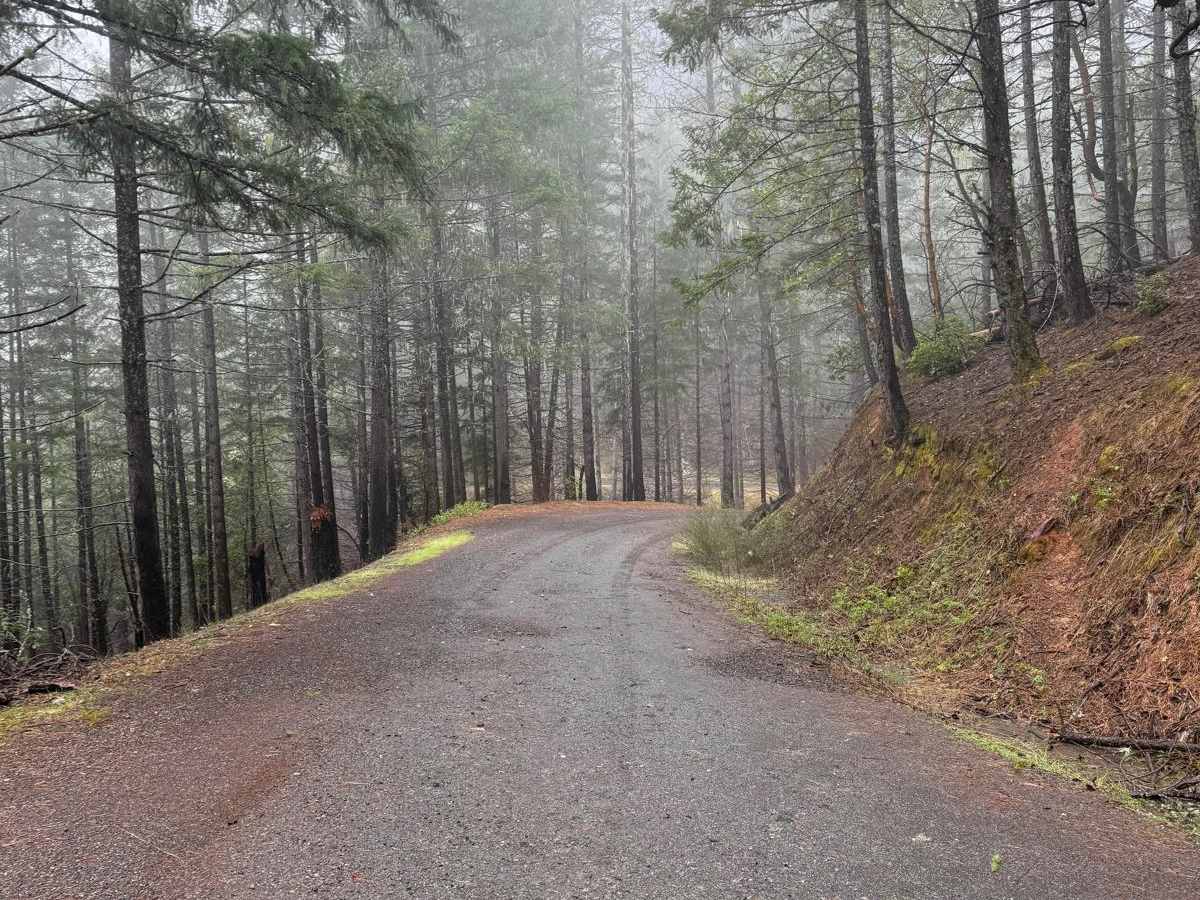 Taylor Ridge Road photo 2