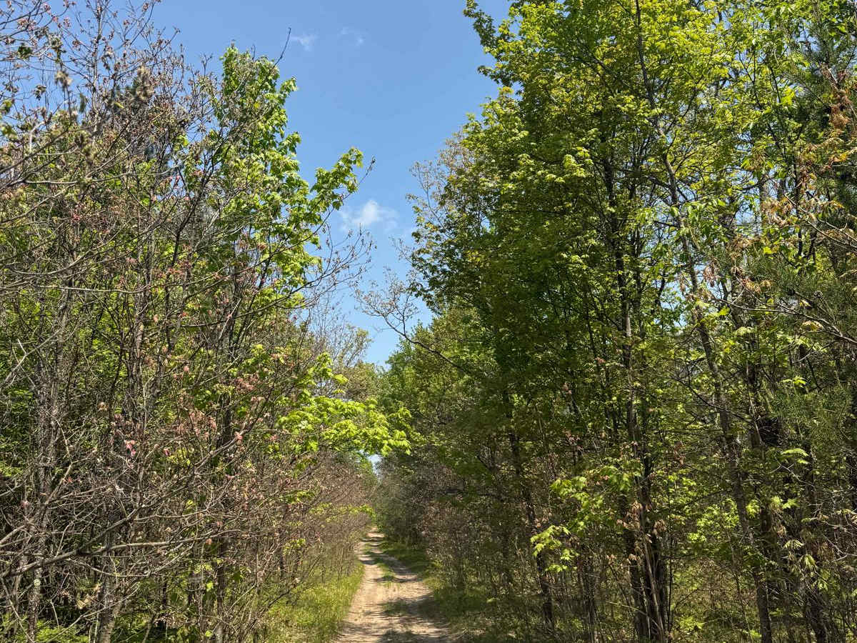 MCCCT Connector Trail photo 4