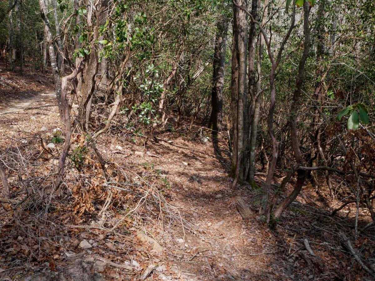 A4 trail photo