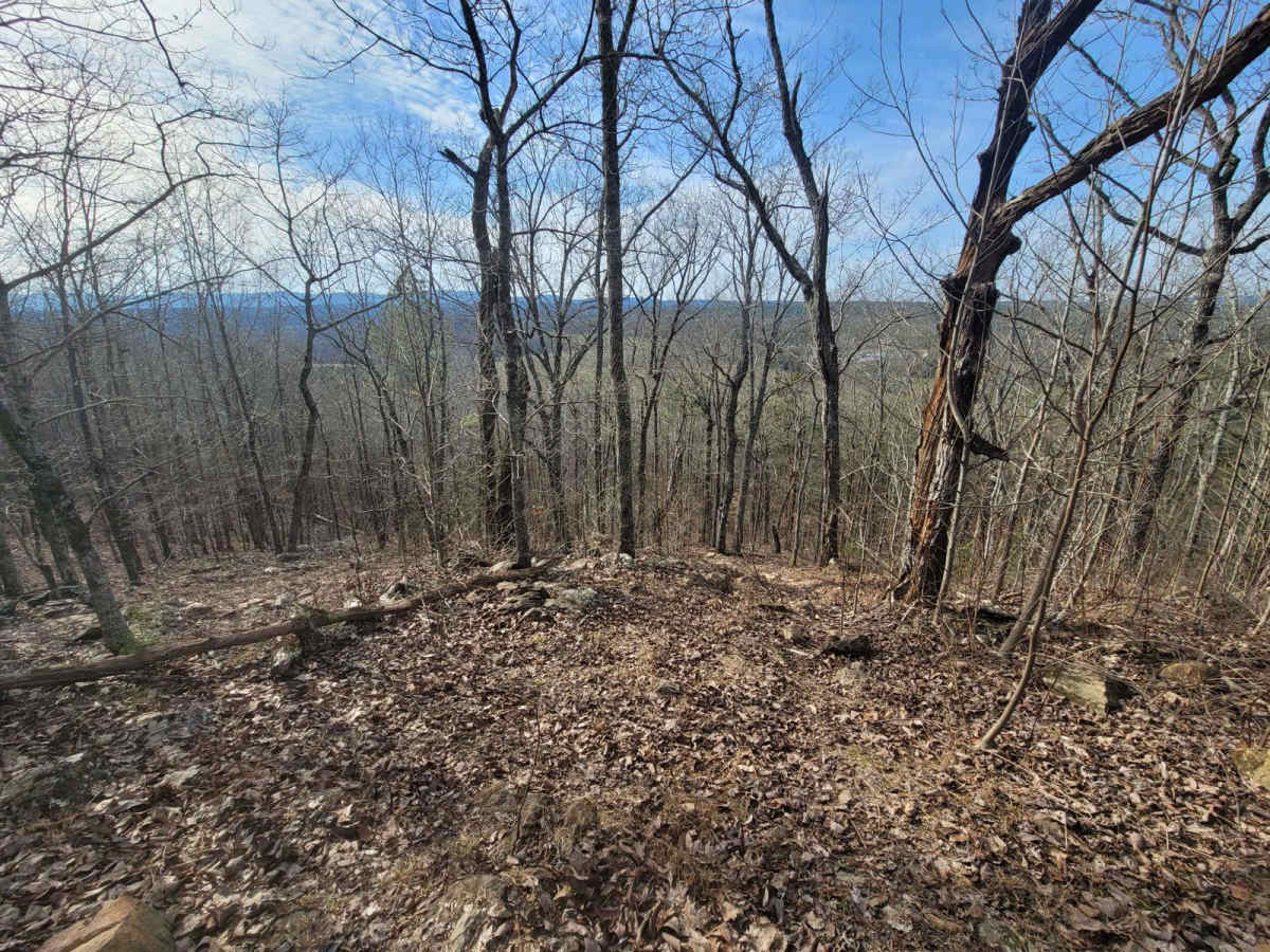 Scenic Overlook Bypass trail photo