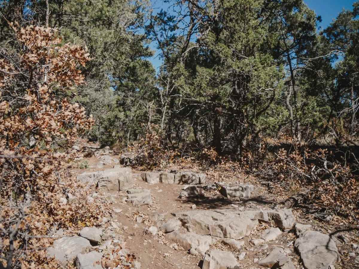 West Boundary photo 2