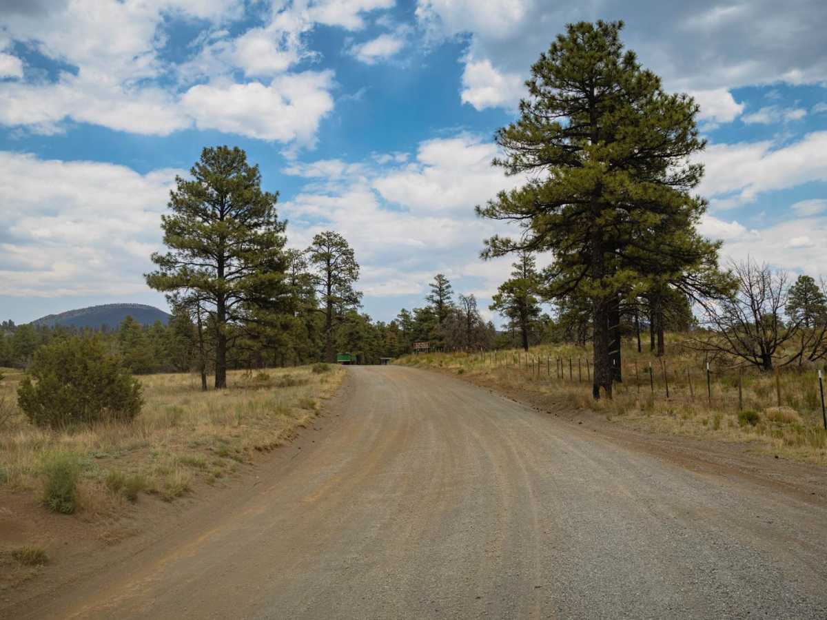 Cinder Hills OHV Area / 776 photo 2