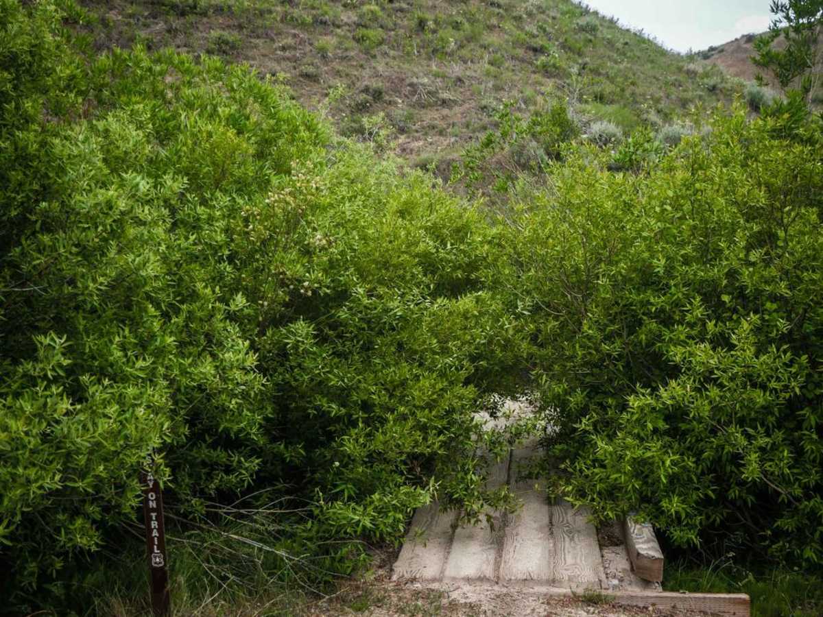 550 trail photo