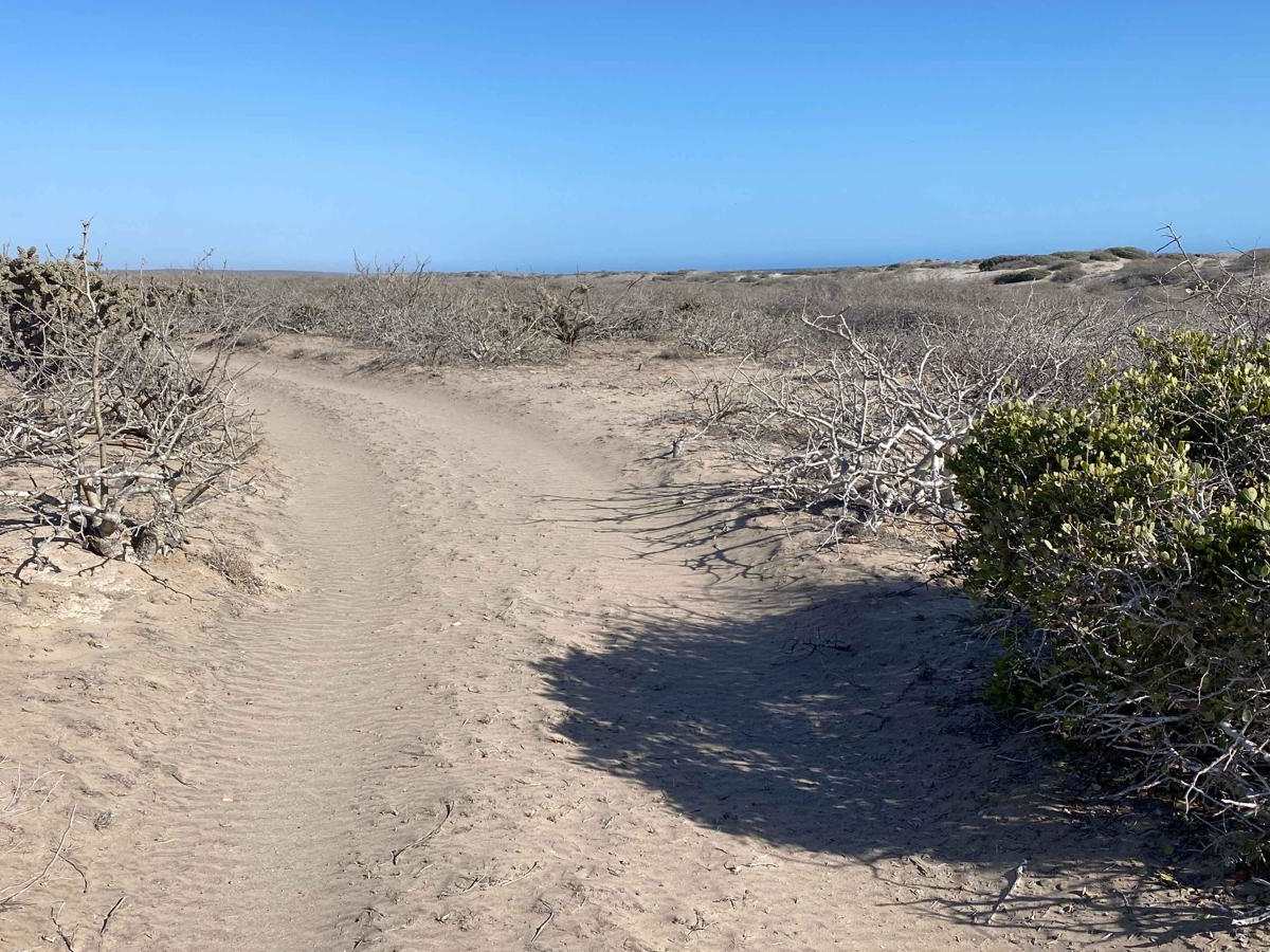 Playa Loop photo 4