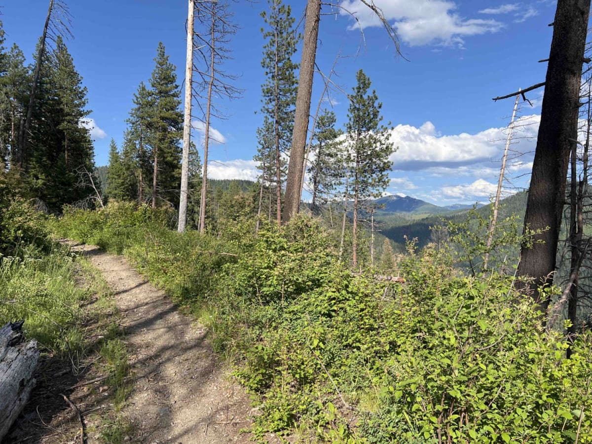 Jewel Gulch - 103 photo 4