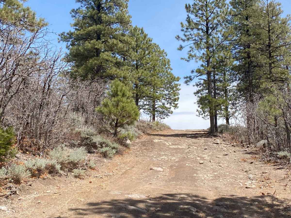 Mitchell OHV/Mitchell Spring photo 3